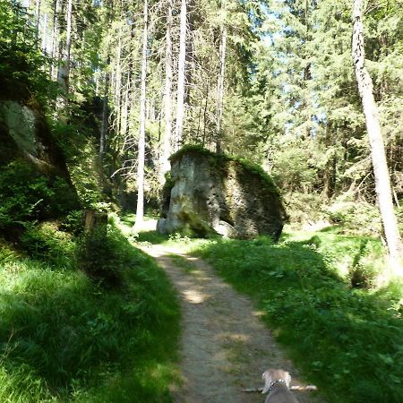Ein Platz Fuer Ruhe Und Naturgenuss Sebnitz Luaran gambar