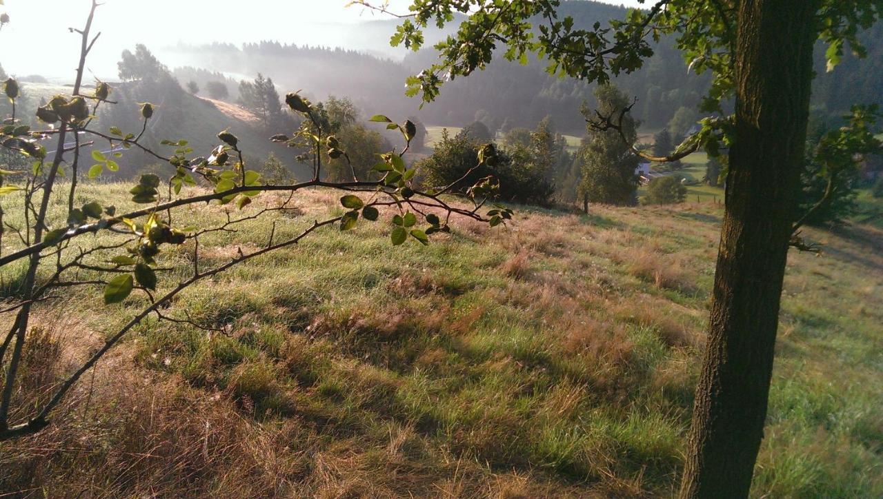 Ein Platz Fuer Ruhe Und Naturgenuss Sebnitz Luaran gambar