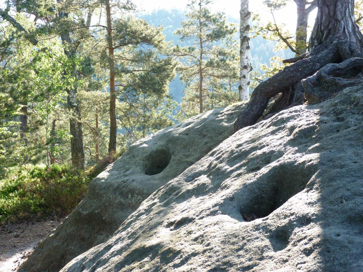 Ein Platz Fuer Ruhe Und Naturgenuss Sebnitz Luaran gambar