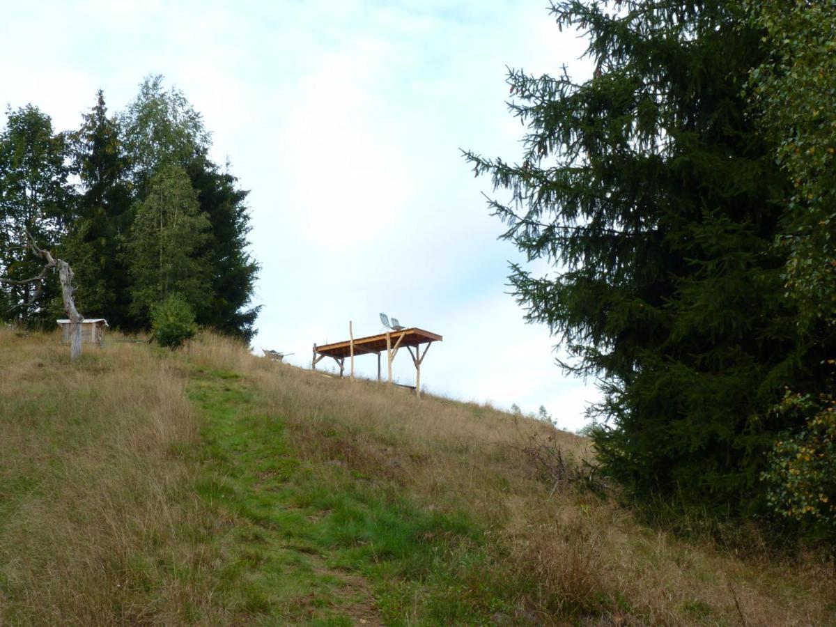 Ein Platz Fuer Ruhe Und Naturgenuss Sebnitz Luaran gambar