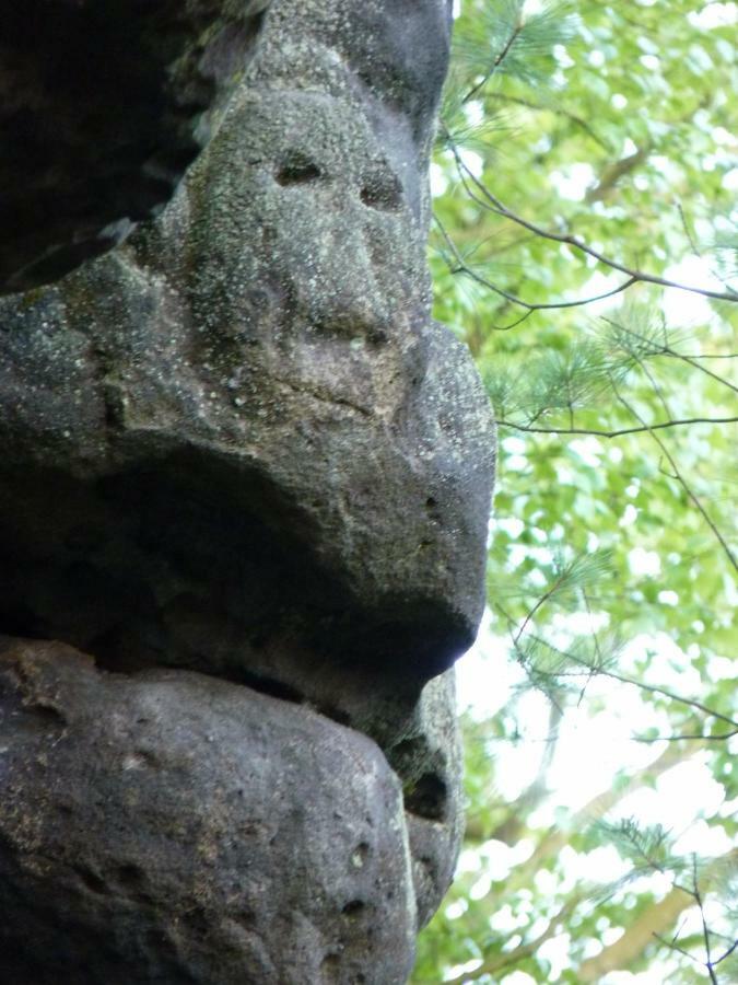 Ein Platz Fuer Ruhe Und Naturgenuss Sebnitz Luaran gambar
