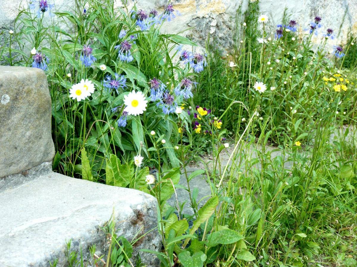 Ein Platz Fuer Ruhe Und Naturgenuss Sebnitz Luaran gambar